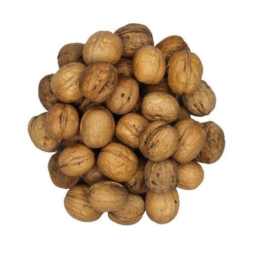 تصویر 3 از مغز گردو قهوه ای مرغوب مناسب مصارف مختلف غذایی